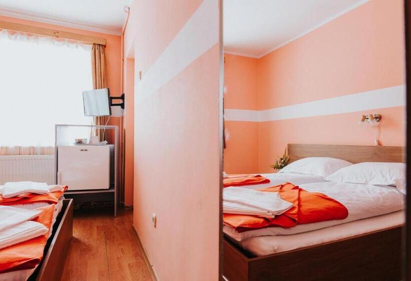 חדר סטנדרט, Pension Rose Trandafirul