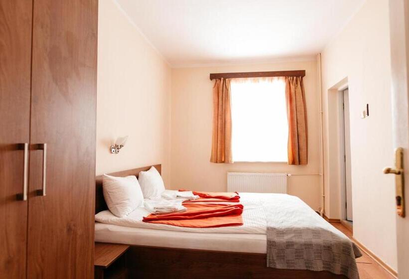 סוויטת 2 חדרי שינה, Pension Rose Trandafirul