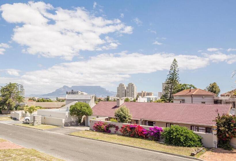 חדר סטנדרט, The Little Palm