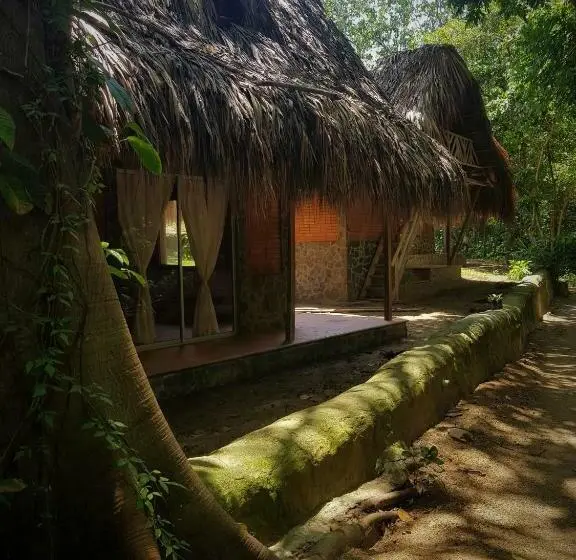 スタンダードルーム, Origen Hostel