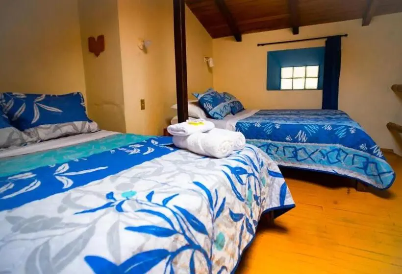 تختخواب در اتاق مشترک, Hostal Jardín Escondido