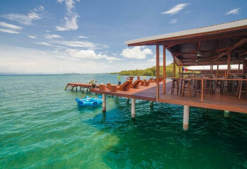 بنجلو ديلوكس, Aqui Hoy Cabañas