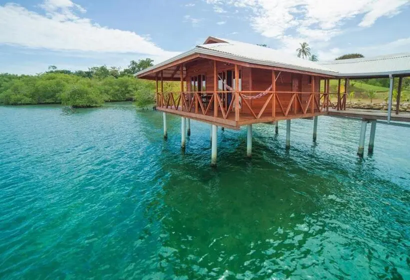 デラックスバンガロー, Aqui Hoy Cabañas