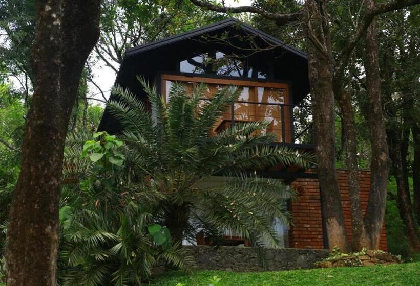 Шале 1 Спальня, Sennya Resorts