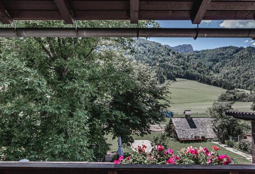 Номер Стандарт с Балконом, Urlaub Am Bauernhof Feldbauer