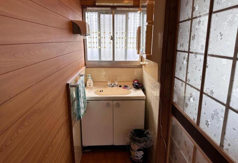 إستوديو قياسى, Guest House Island