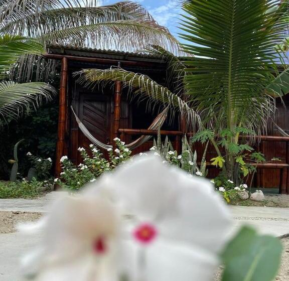 اتاق استاندارد با چشمانداز باغ, Un Dia Boutique Resort