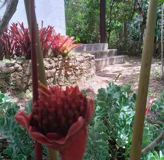 جناح مزوَّد بشرفة, Pousada Do Pequi