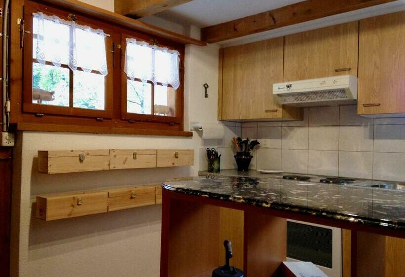 דירת חדר בקומת קרקע, Eichhof Brienzwiler Berner Oberland