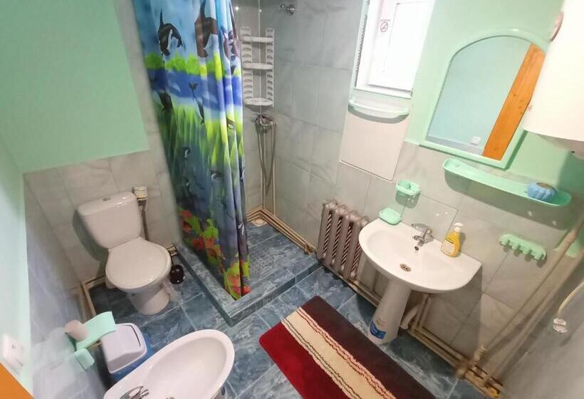 غرفة قياسية, Girskyi Kutochok