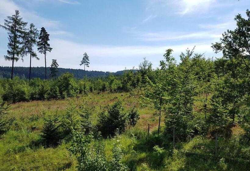 阁楼房, Penzion Na Kraji Lesa