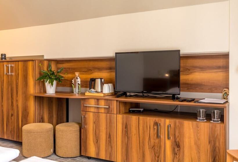 חדר סטנדרט נוף להרים, Penzion Na Náměstí