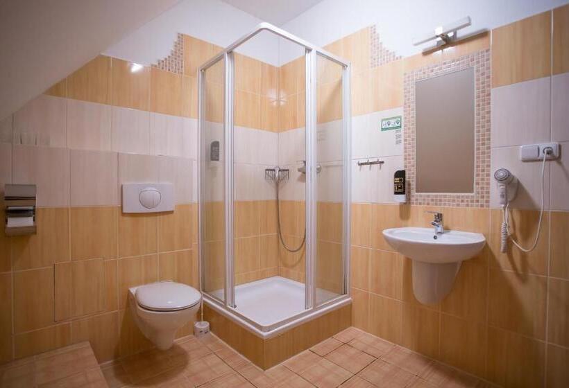 غرفة قياسية ثلاثية, Penzion Statek Bernard