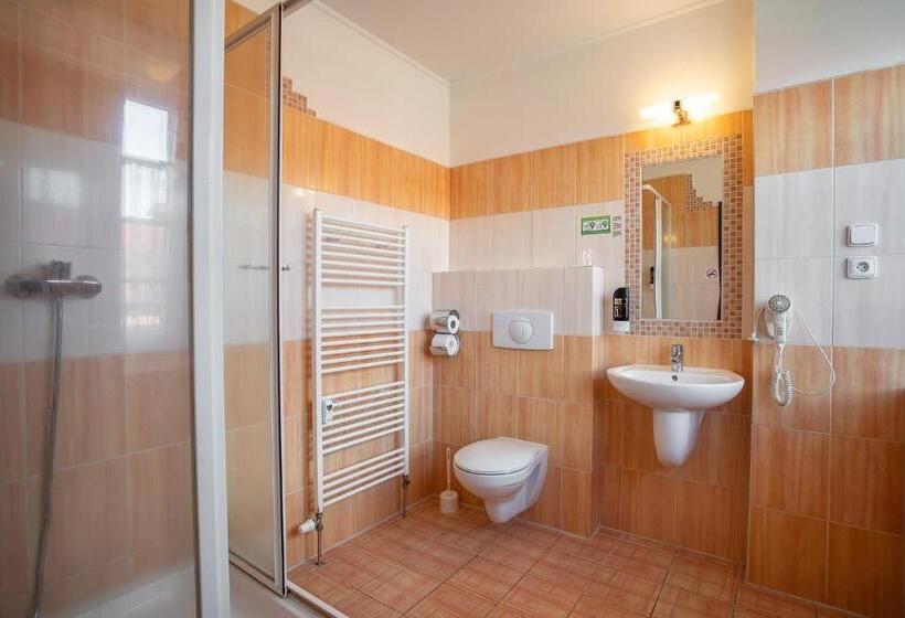 غرفة قياسية فردية, Penzion Statek Bernard