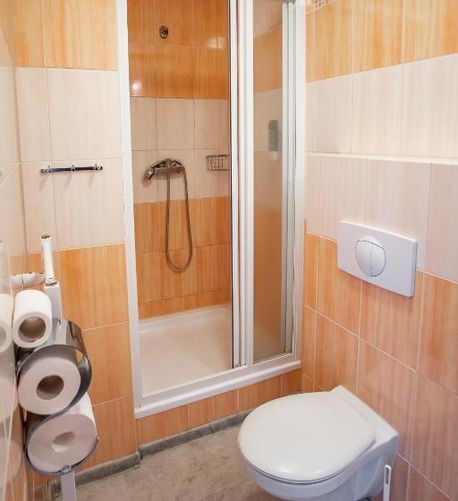 غرفة قياسية فردية, Penzion Statek Bernard