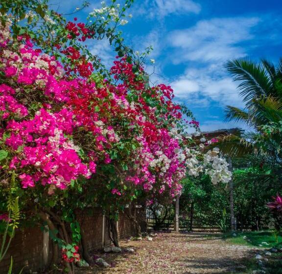 Номер Стандарт с Балконом, Sol De Playa