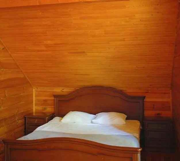 デラックスルーム, Grebenky Motel