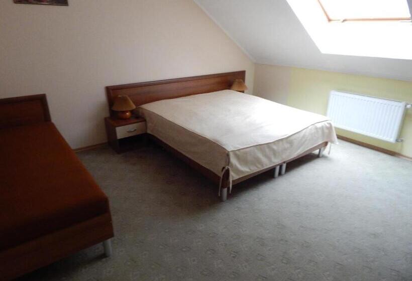 חדר סטנדרט לשלושה, Karpaty Viking