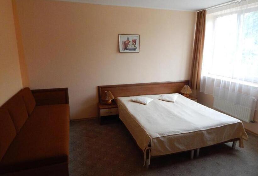 חדר סטנדרט לשלושה, Karpaty Viking