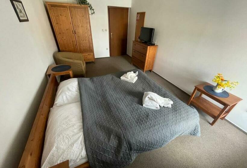 חדר סטנדרט, Penzion Adler