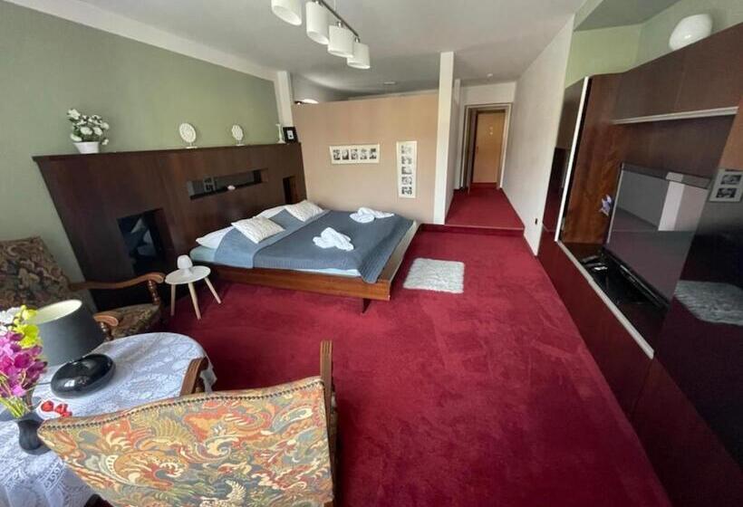 חדר דלוקס, Penzion Adler