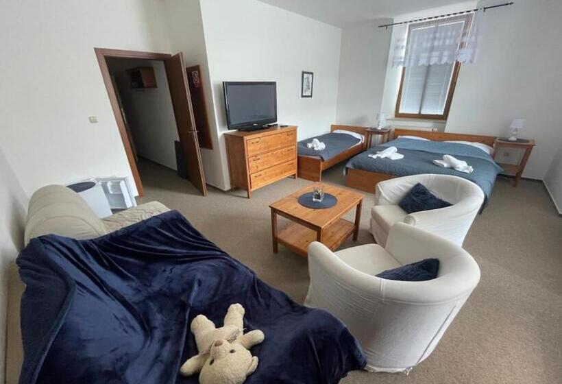 חדר סטנדרט לשלושה, Penzion Adler