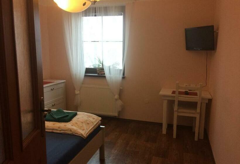 חדר סטנדרט מותאם לאדם עם מוגבלויות, Penzion Pulčínské Skály