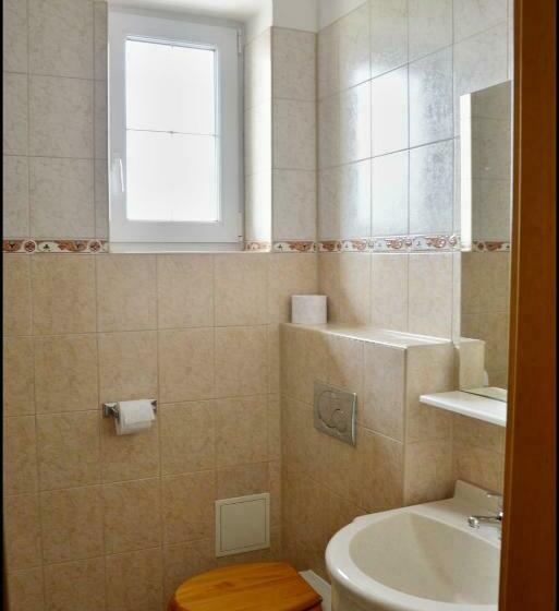 חדר סטנדרט יחיד, Penzion Starý Dvůr