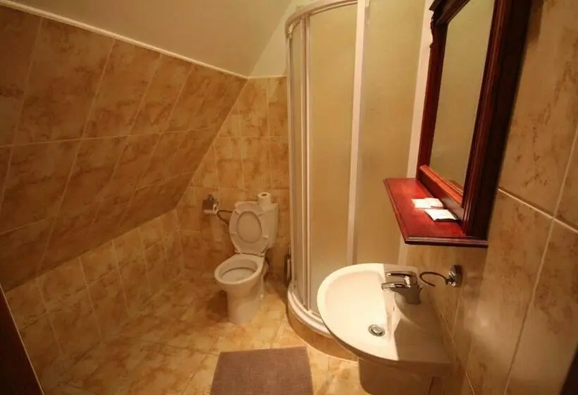 シングルデラックスルーム, Pivovarský Dvůr Plasy