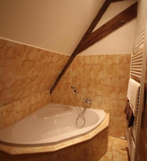 غرفة ديلوكس, Pivovarský Dvůr Plasy