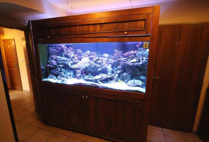 غرفة ديلوكس, Pivovarský Dvůr Plasy