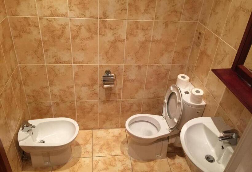 غرفة ديلوكس, Pivovarský Dvůr Plasy