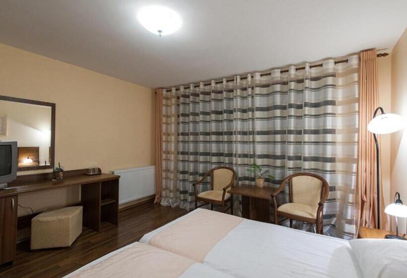 غرفة قياسية مطلة على الجبل, Pensiunea Retezat