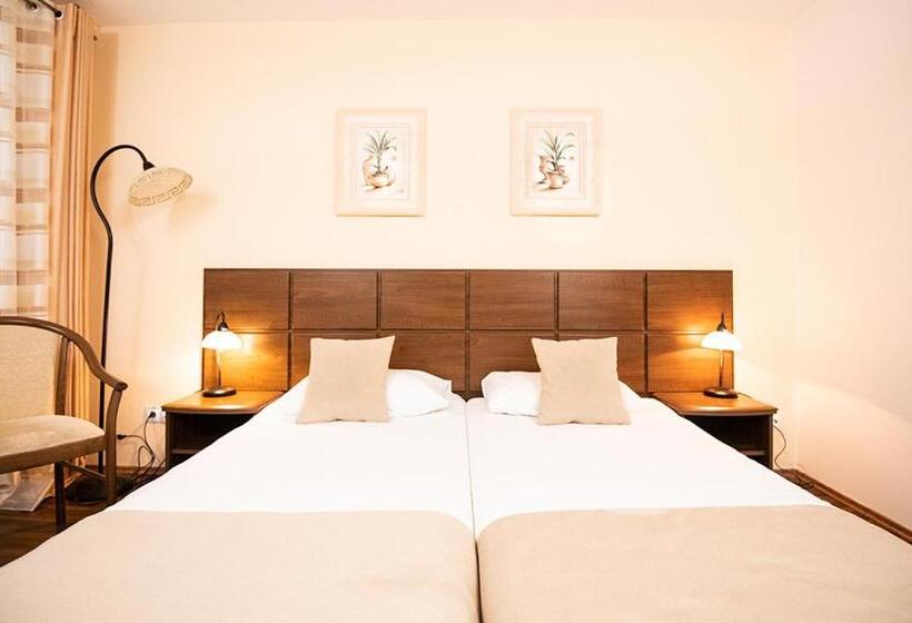 غرفة قياسية مطلة على الجبل, Pensiunea Retezat