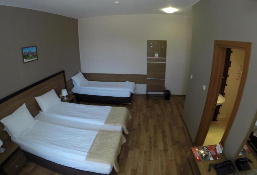 חדר סטנדרט לשלושה, Spa Hotel Ivelia