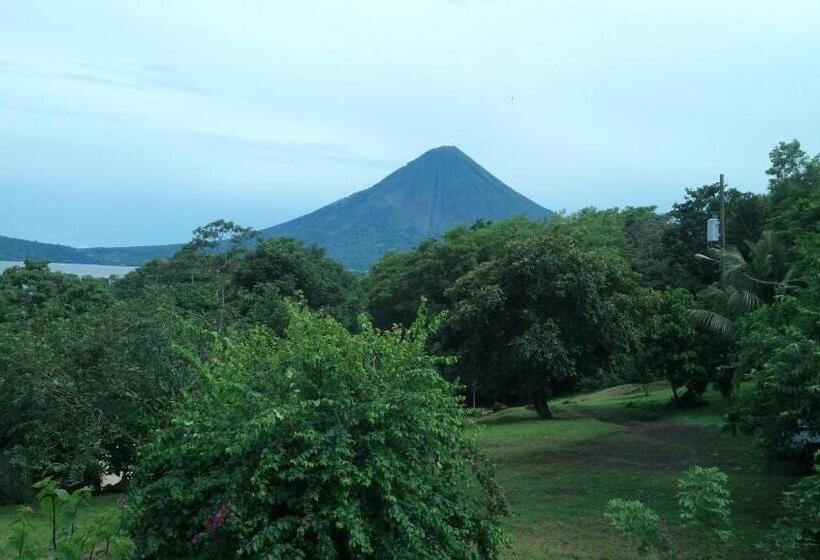 이코노미 룸, La Omaja
