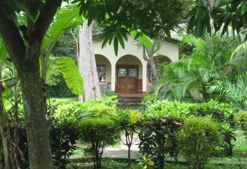 패밀리 방갈로, La Omaja