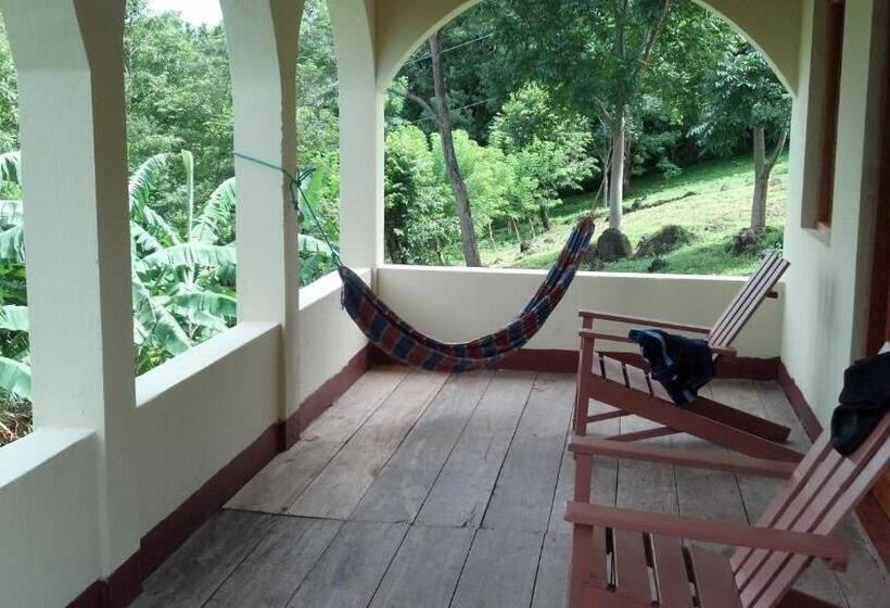 패밀리 방갈로, La Omaja