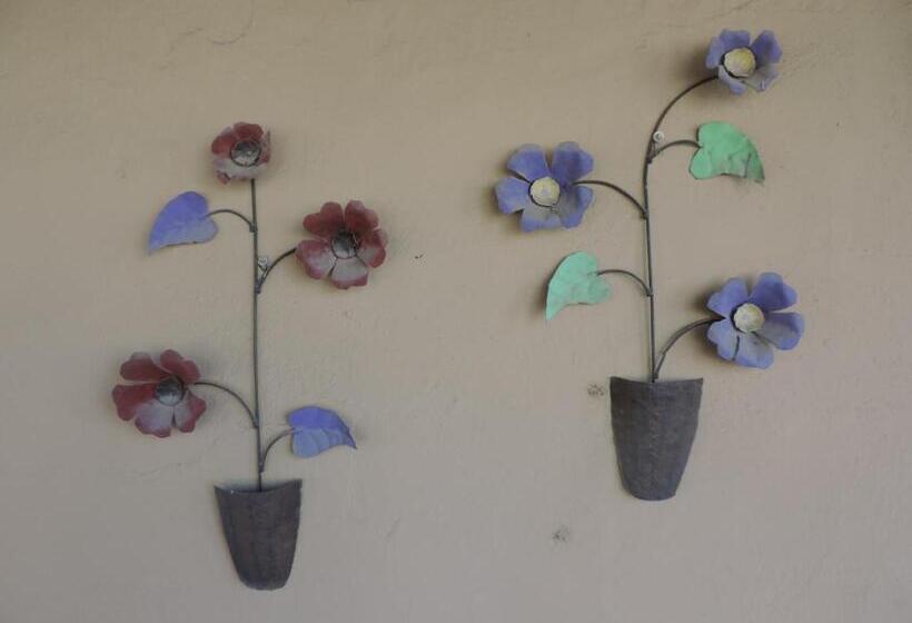 ファミリールーム, 3 Darling Street Guest House