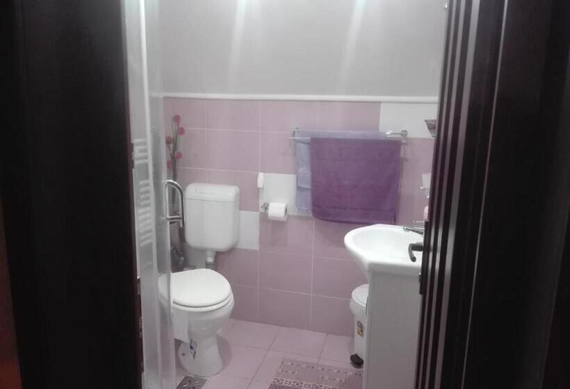 غرفة قياسية رباعية حمام مشترك, Casa De Vacanta Silvia Varmaga