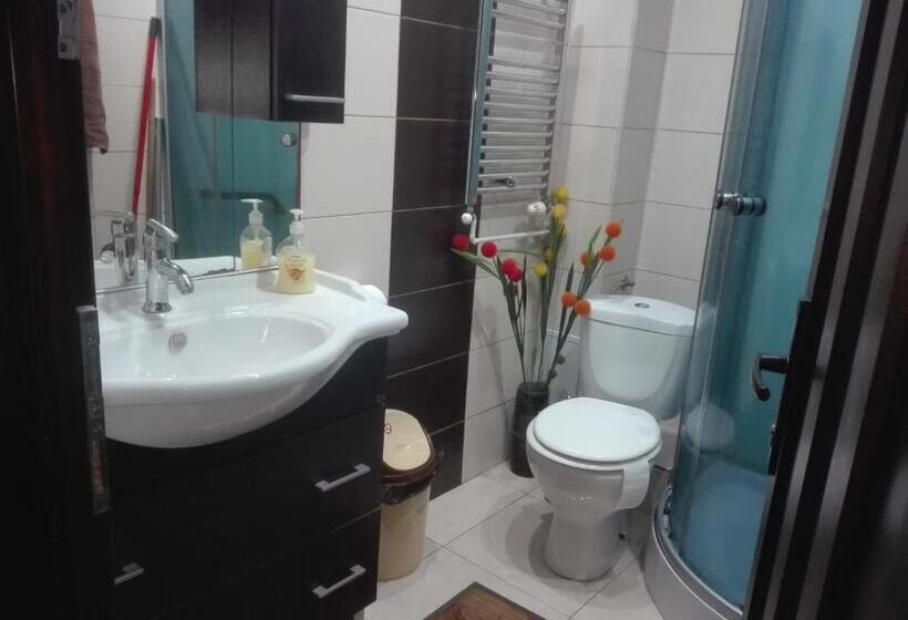 إستوديو قياسى, Casa De Vacanta Silvia Varmaga