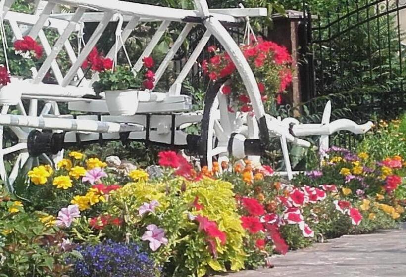 בית, חדר שינה 1, Casa De Vacanta Silvia Varmaga