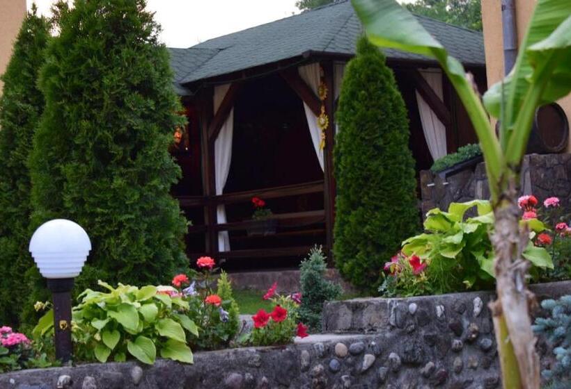 Номер Стандарт Четырехместный Совместный Санузел, Casa De Vacanta Silvia Varmaga