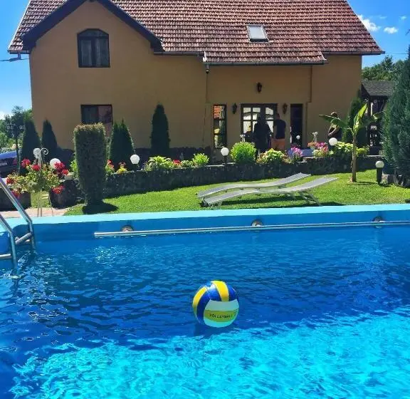 スタンダードスタジオ, Casa De Vacanta Silvia Varmaga