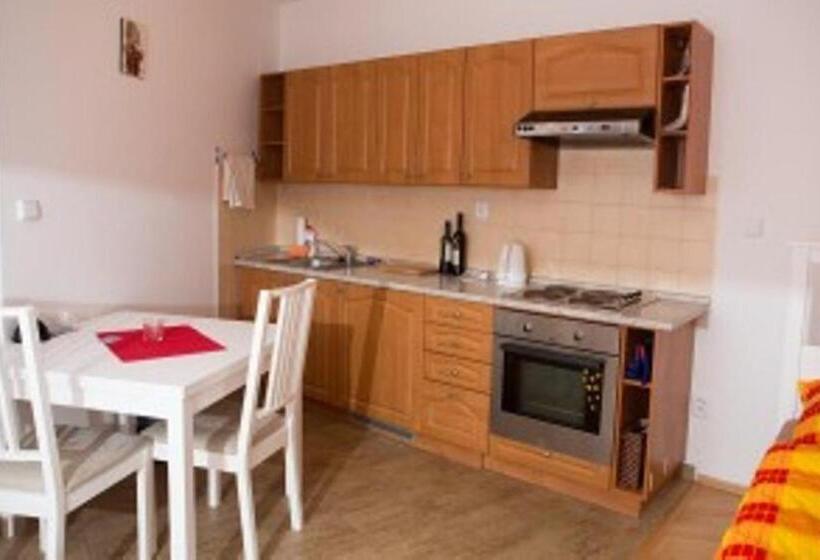 标准工作室, Guest House Beroun