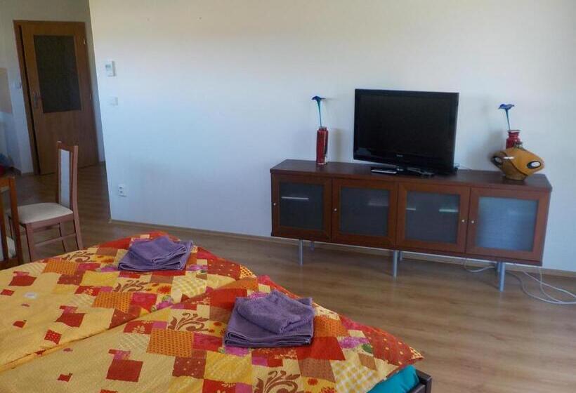 标准工作室带阳台, Guest House Beroun