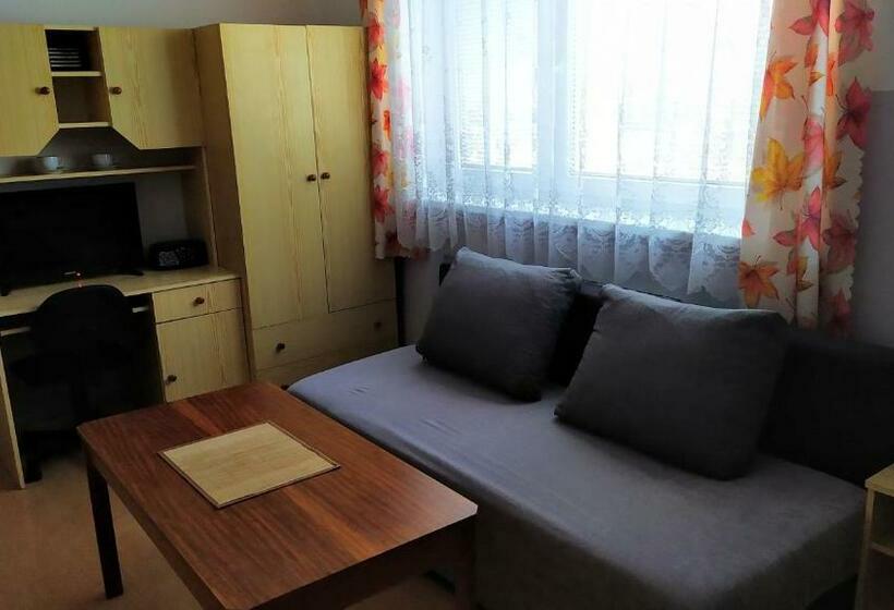 غرفة قياسية ثلاثية حمام مشترك, Ubytování Velký Týnec 376