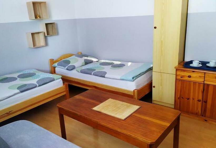 غرفة قياسية ثلاثية حمام مشترك, Ubytování Velký Týnec 376