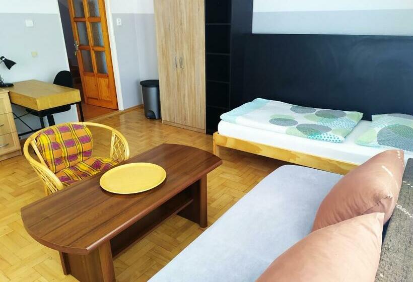 غرفة قياسية ثلاثية حمام مشترك, Ubytování Velký Týnec 376