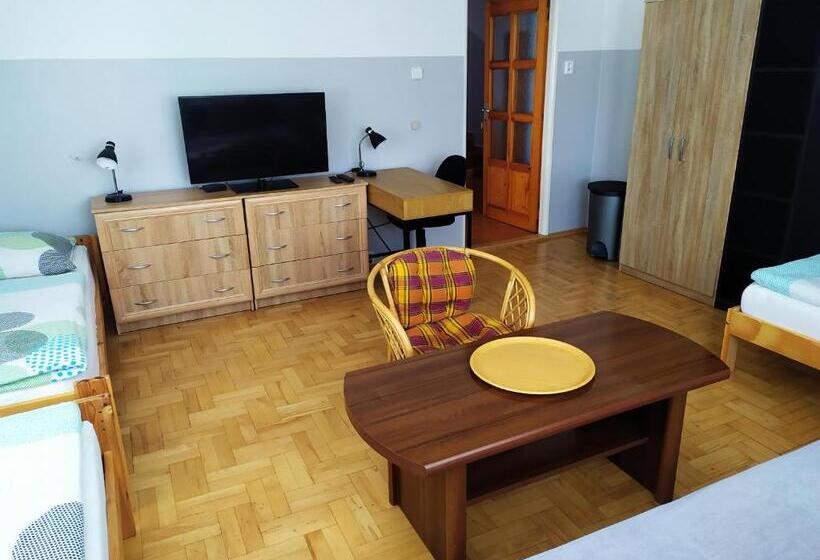 غرفة قياسية ثلاثية حمام مشترك, Ubytování Velký Týnec 376